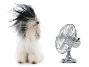 Save on Cooling Costs this Summer with Insulation from Progressive Insulation and Windows