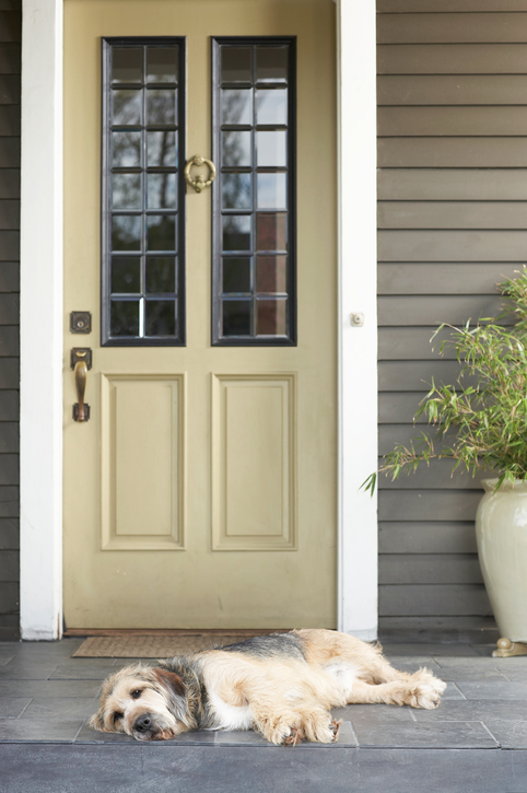 The Three Most Important Things to Consider When Replacing Your Front Door 