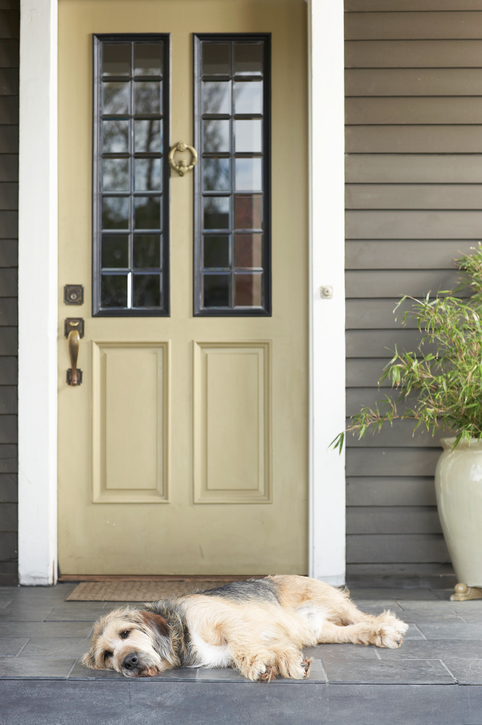 When The Three Most Important Things to Consider When Replacing Your Front Door The Three Most Important Things to Consider When Replacing Your Front Door