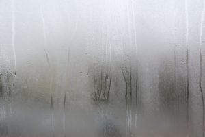 Are You Tired of Dealing with Foggy Windows? Learn How You Can Prevent the Fog