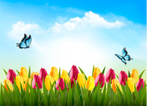 Surprising Reasons that Spring is One of the Best Times to Install Insulation Surprising Reasons that Spring is One of the Best Times to Install Insulation