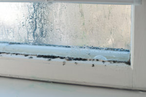 6 Signs Your Window Frames Are Rotting and It’s Time for New Windows