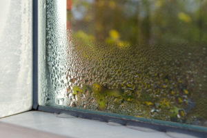 Tired of Condensation Between the Panes of Your Windows? Learn How to Stop It