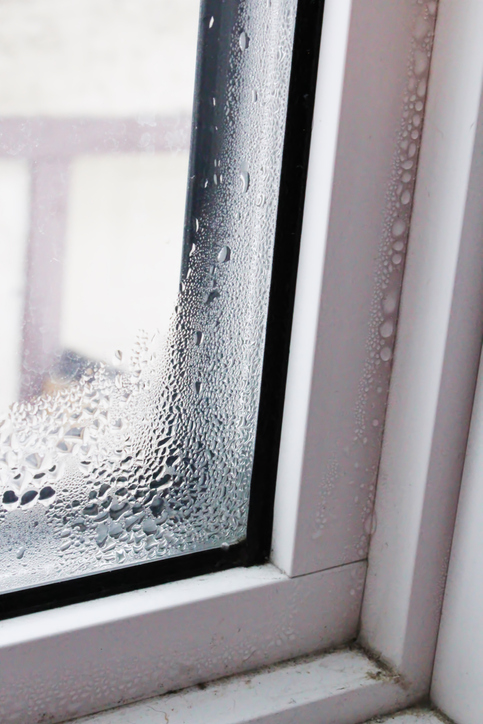 Get the Best Energy Efficiency from Your Windows by Following These Tips