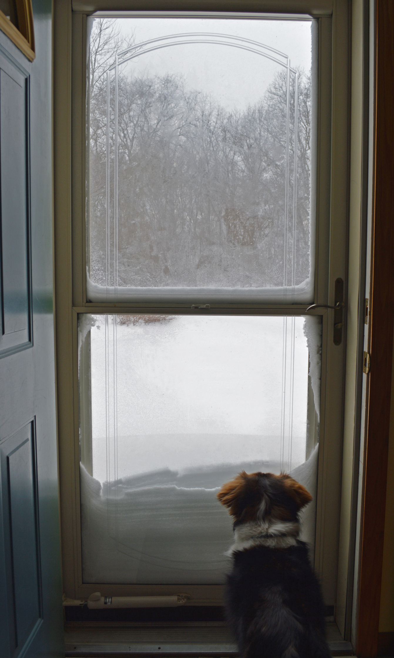Does a Storm Door Make Sense at Your Home? Learn About the Potential Advantages of One 